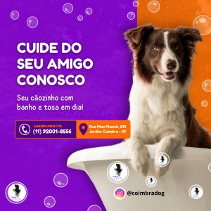 COIMBRA DOG BANHO E TOSA