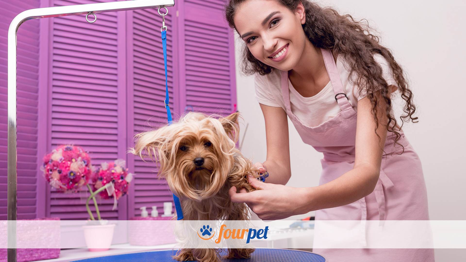 Fourpet Classificados de Banho e Tosa